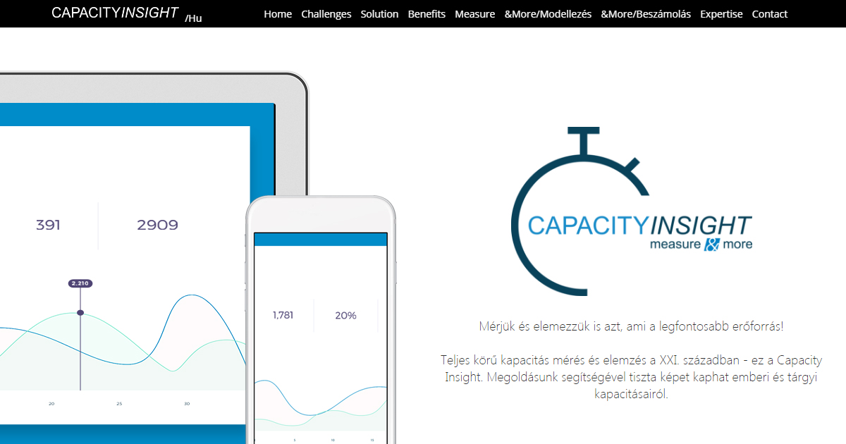 Alkalmazás kapacitásmodell felállításához: CapacityInsight.